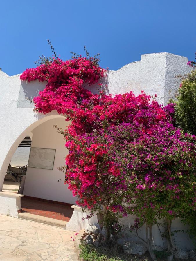 Villa Cecilia Polignano a Mare Εξωτερικό φωτογραφία